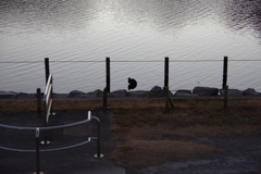 今日は旧中川で6時