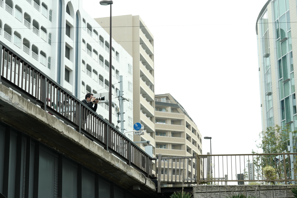 今日は小名木川で11時