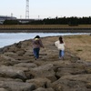 今日は葛西臨海公園で3時