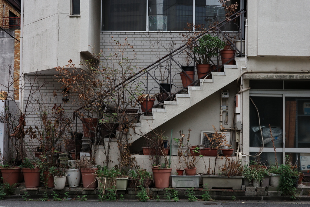 今日は岩本町で3時