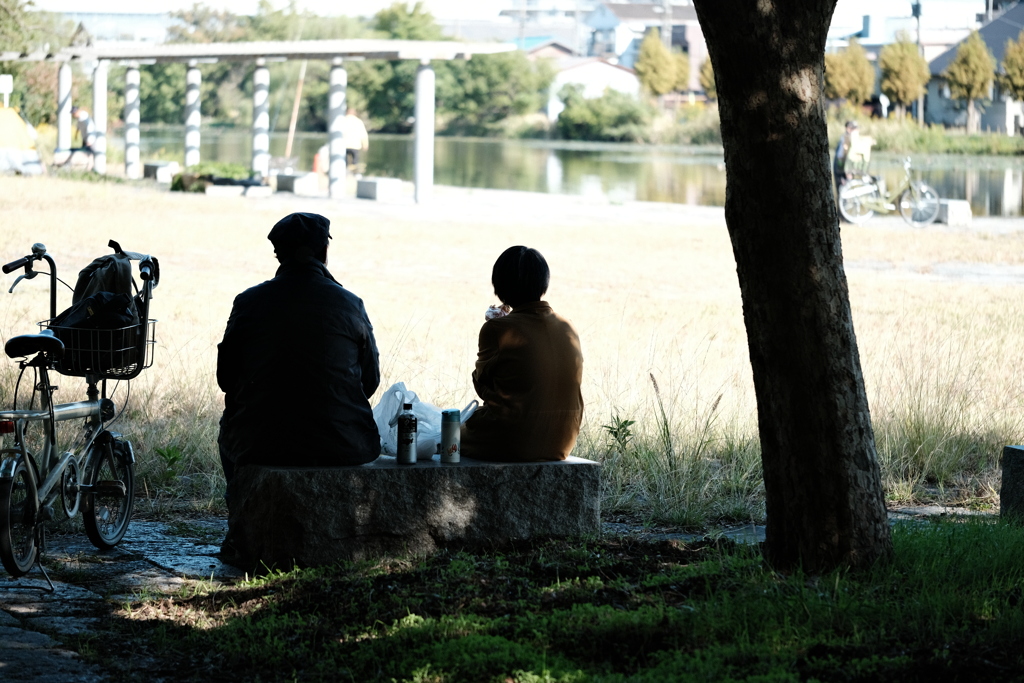 今日は水元公園で1時