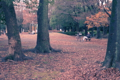 今日は猿江恩賜公園で4時