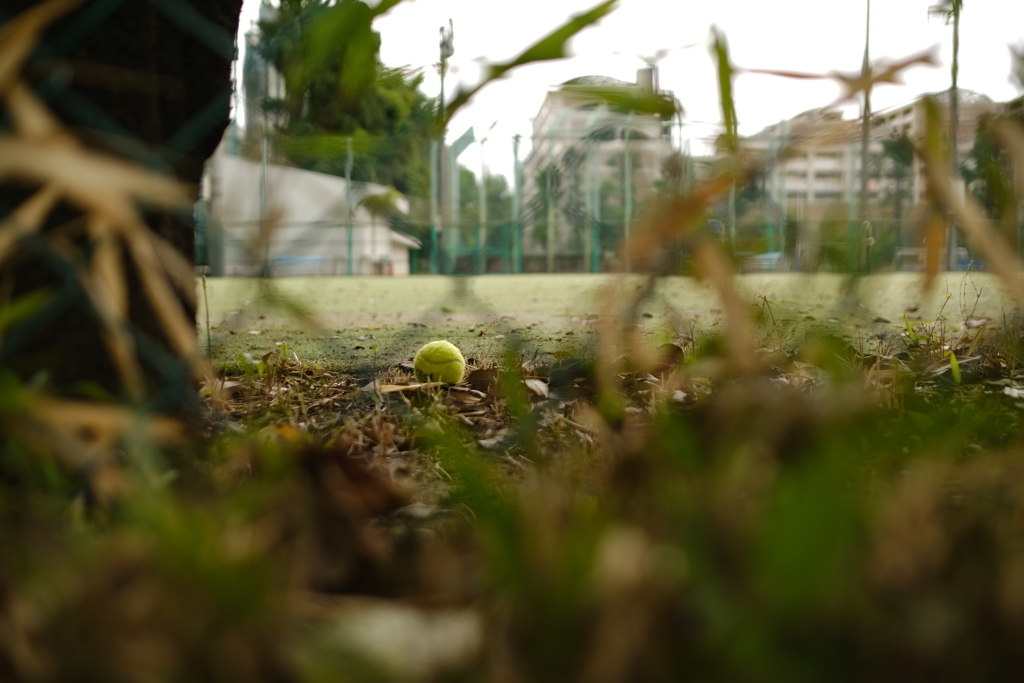 今日は青山で12時