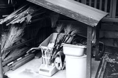 今日は三囲神社で10時