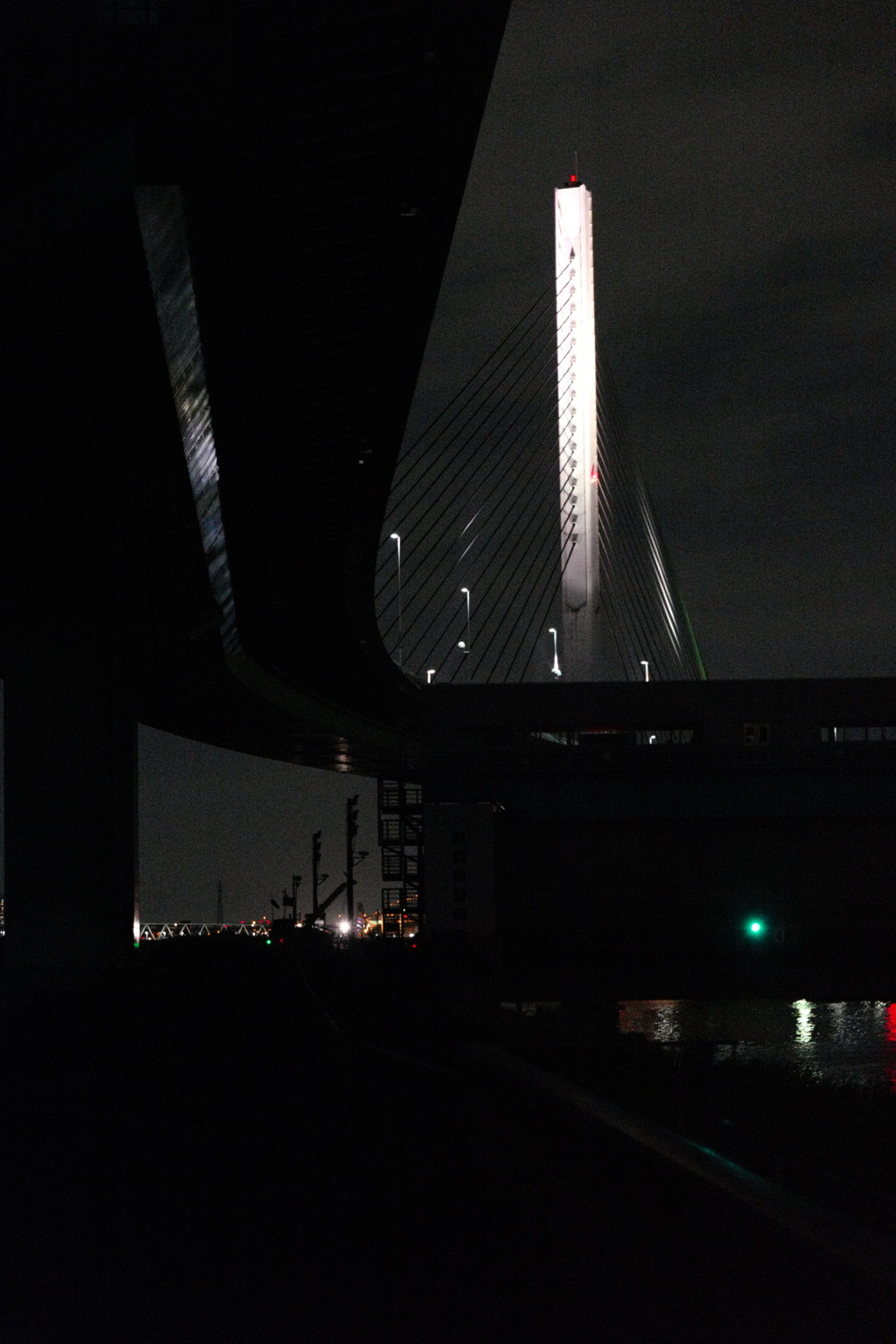 今日は荒川河川敷で8時