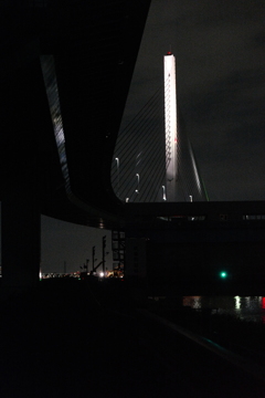 今日は荒川河川敷で8時