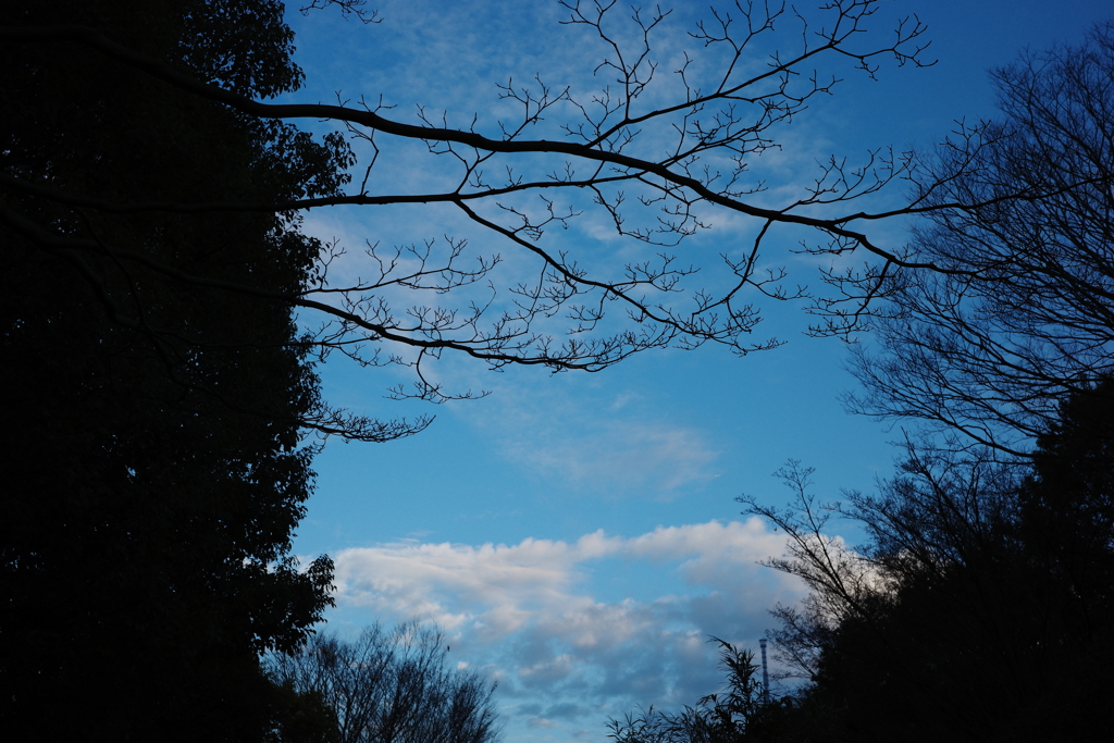 今日は亀戸で7時