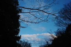 今日は亀戸で7時