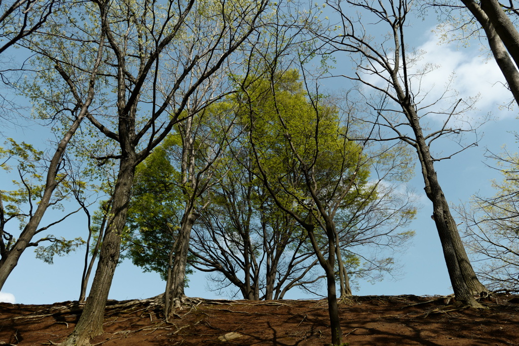 今日は東大島で10時