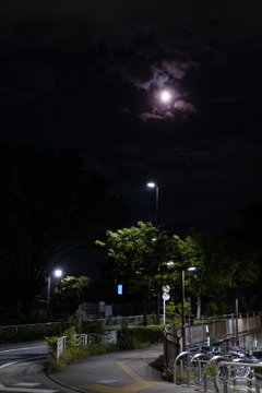 今日は東大島で8時