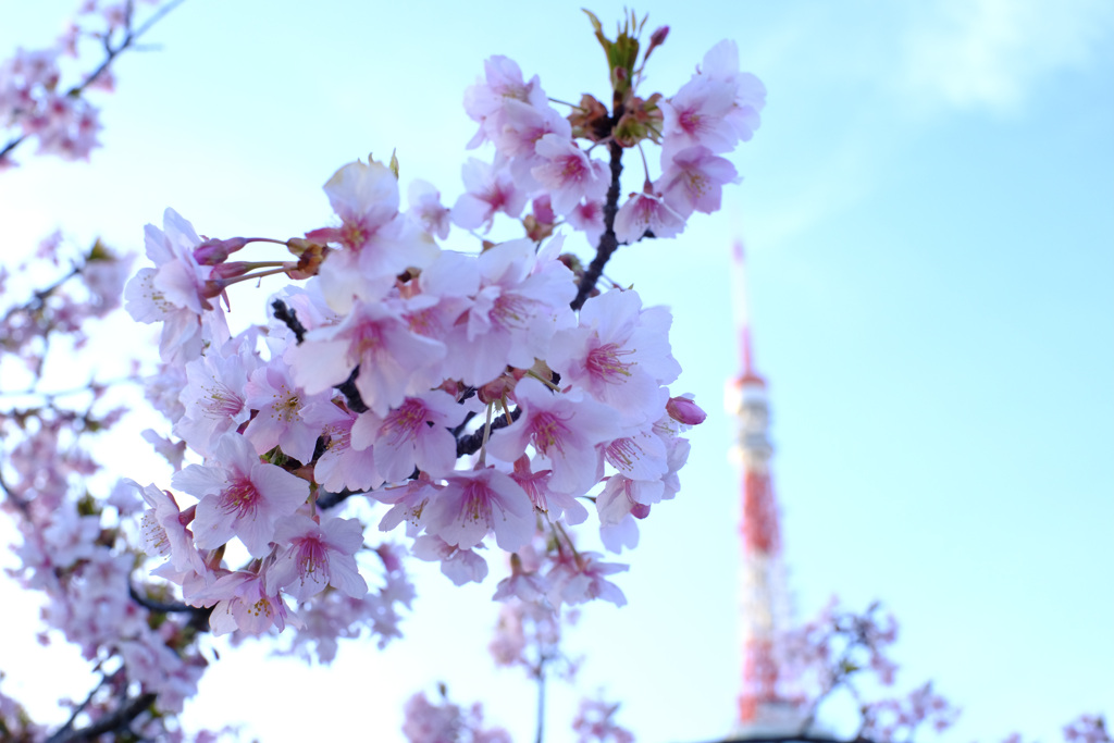 今日は芝で４時