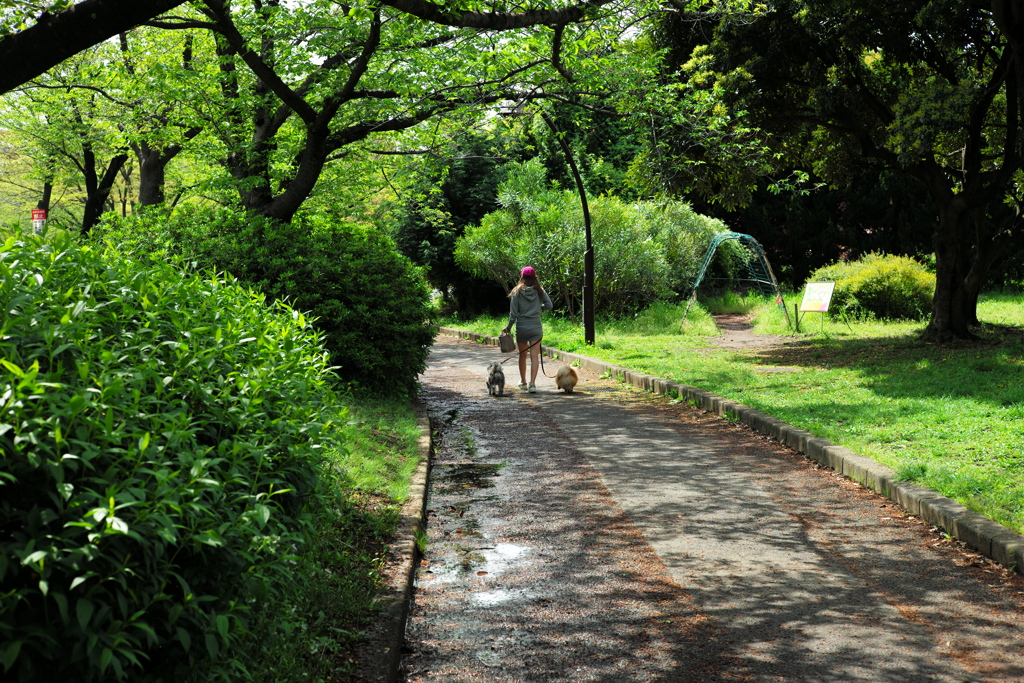 今日は猿江恩賜公園で10時