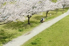 今日は旧中川で11時