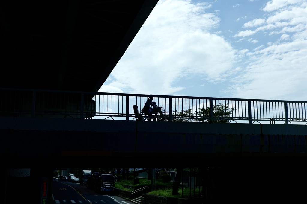 今日は向島で12時