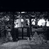 今日は三囲神社で12時②