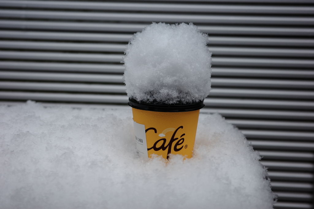 今日は近所で11時