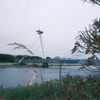 今日は葛西で11時