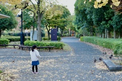 今日は木場公園で4時