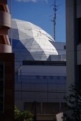今日は向島で12時