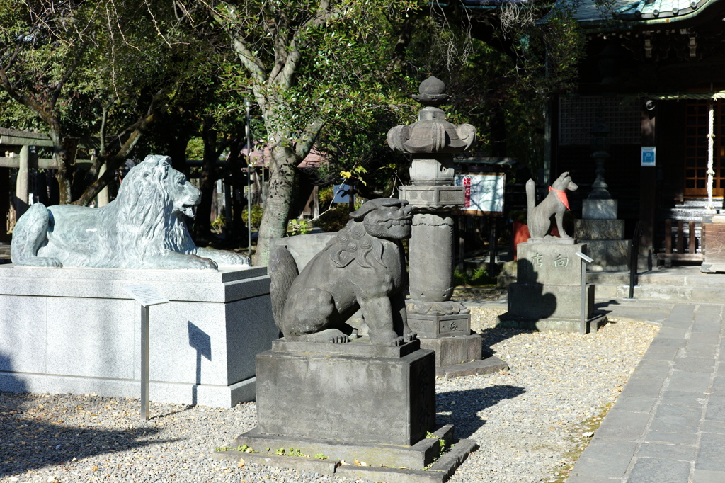 今日は三囲神社で11時