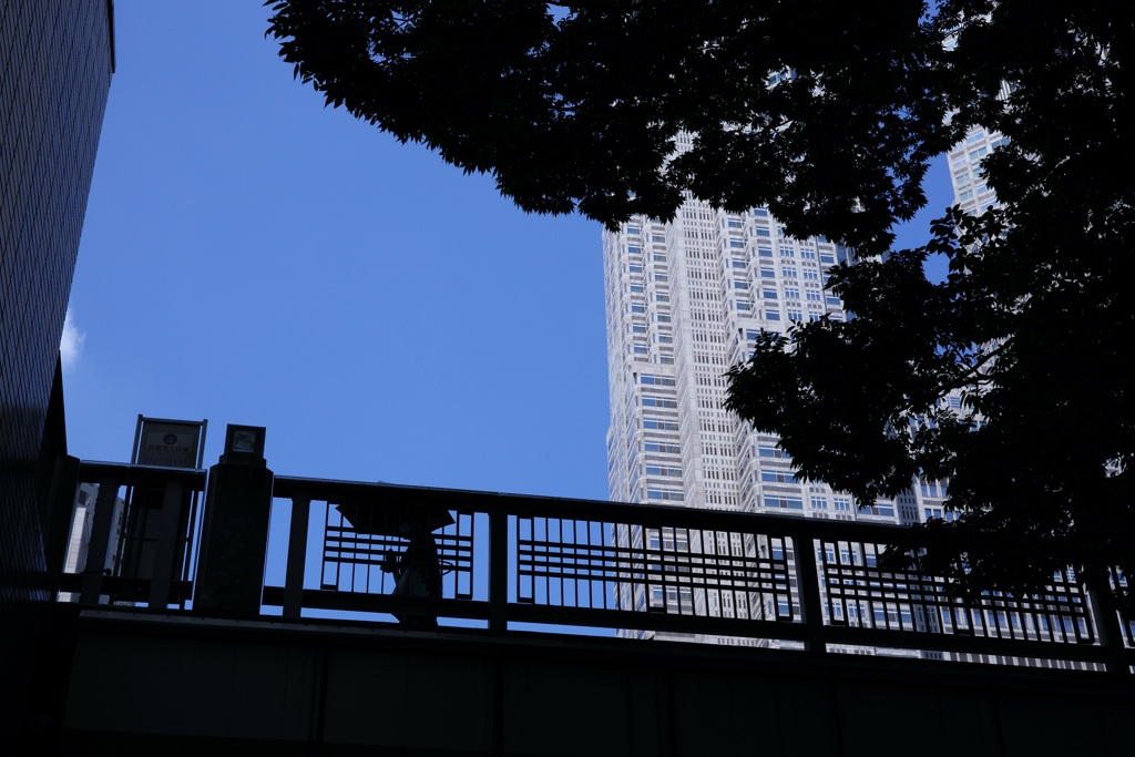 今日は西新宿で10時