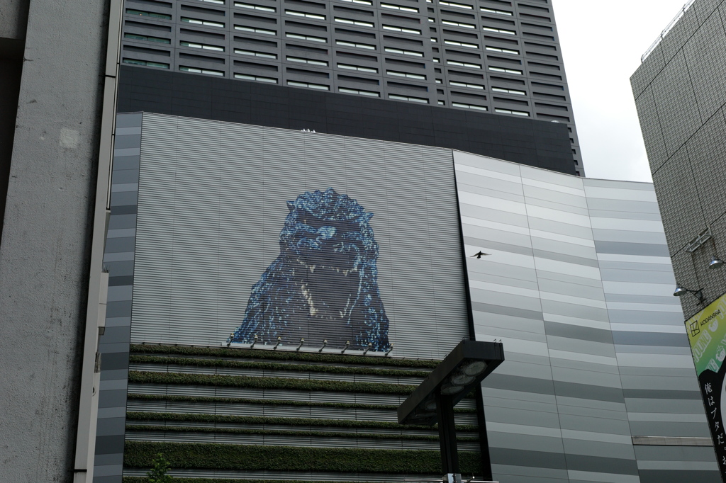 今日は歌舞伎町で1時④