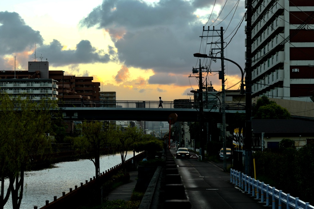 今日は大島で6時
