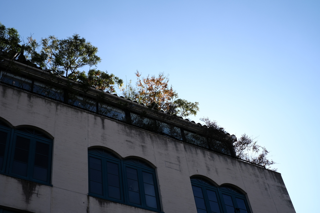 今日は表参道で12時