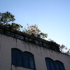 今日は表参道で12時
