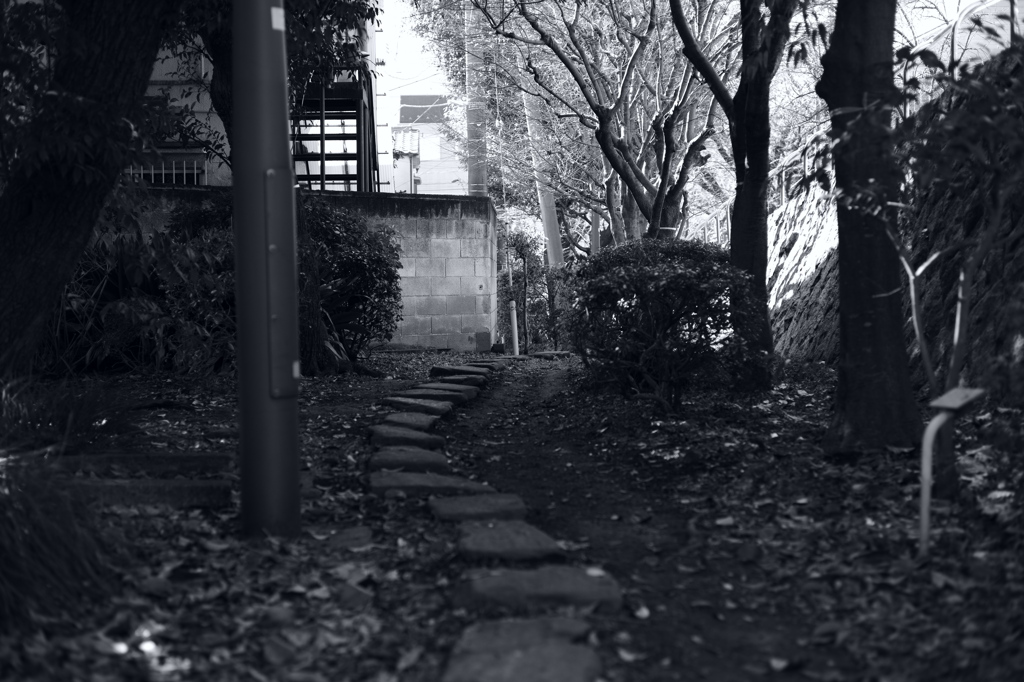 今日は向島で10時