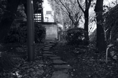 今日は向島で10時