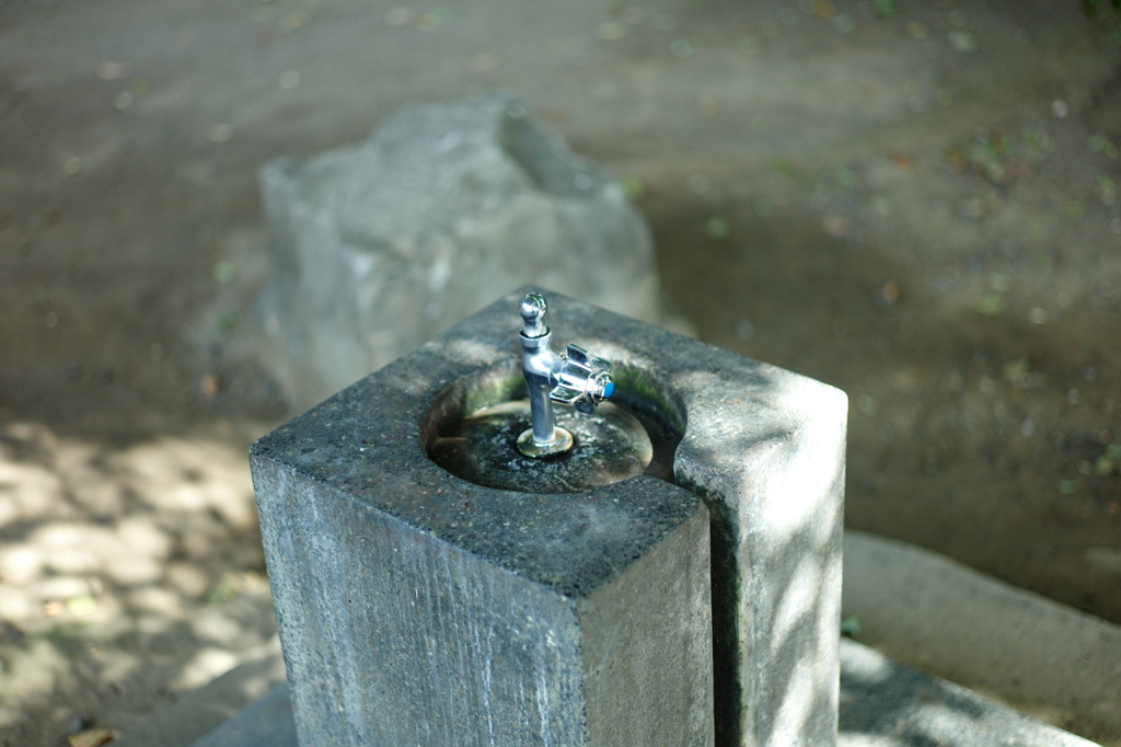 今日は隅田公園で12時