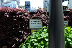今日は池袋で12時