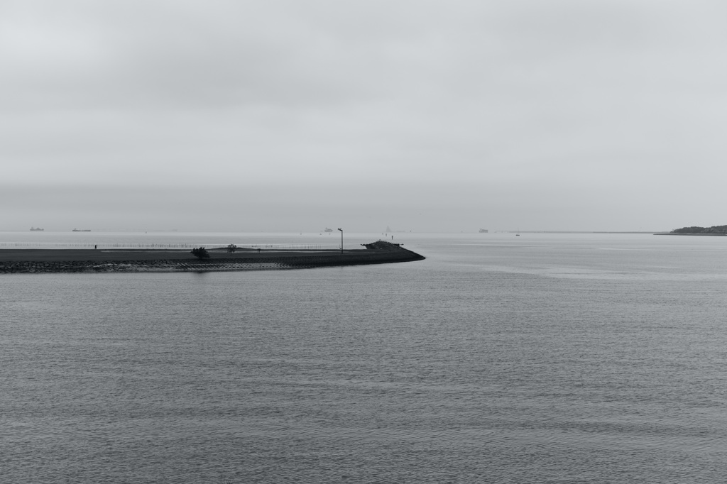 今日は葛西臨海公園で11時