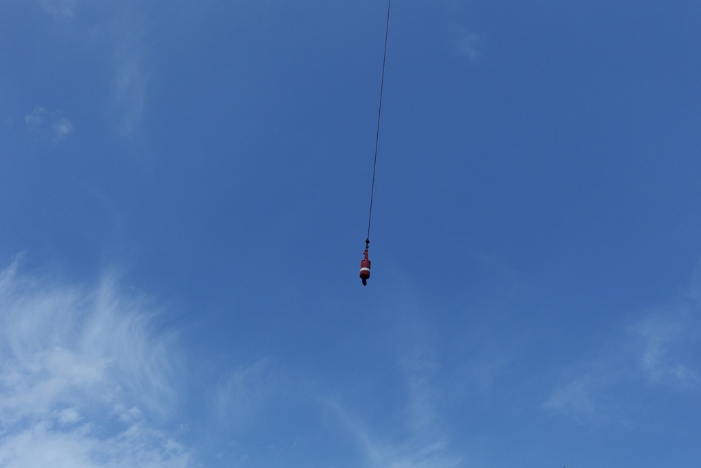 今日は向島で12時