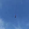 今日は向島で12時