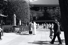 今日は浅草寺で12時④