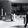 今日は浅草寺で12時④