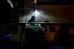 今日は宇都宮で7時