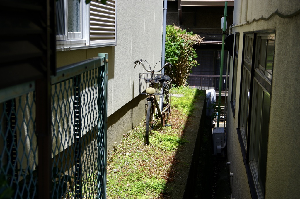 今日は大島で10時