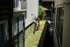 今日は大島で10時
