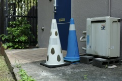 今日は向島で12時