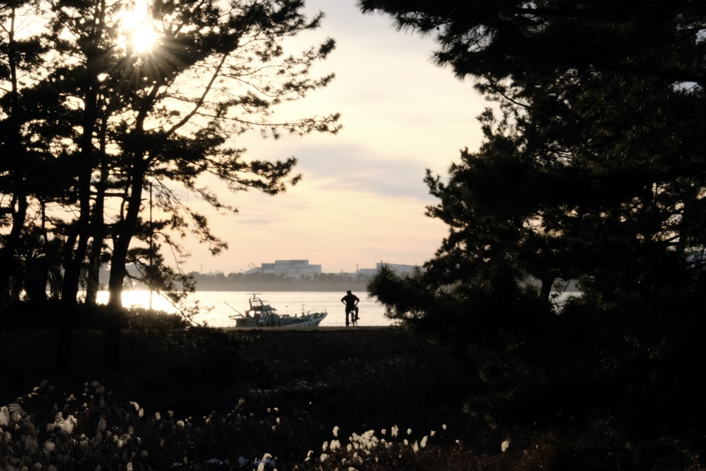今日は葛西臨海公園で4時