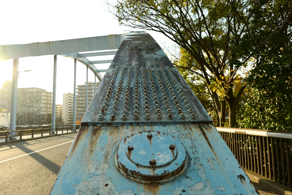 今日は東大島で3時