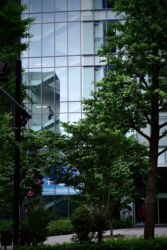 今日はお茶の水で1時
