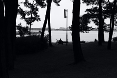 今日は葛西臨海公園で11時①