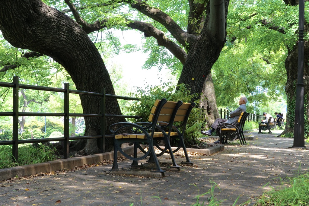 今日は日比谷公園で12時