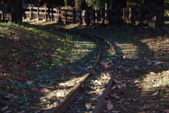 今日は世田谷公園で8時④