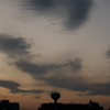 今日は大島で5時