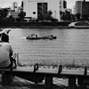 今日は向島で1時